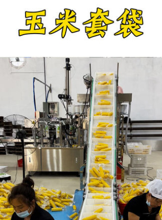 玉（yù）米套袋