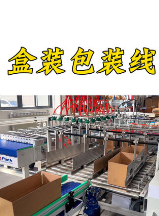 袋裝產品包裝線