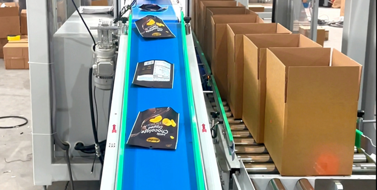 袋裝產品包（bāo）裝（zhuāng）線